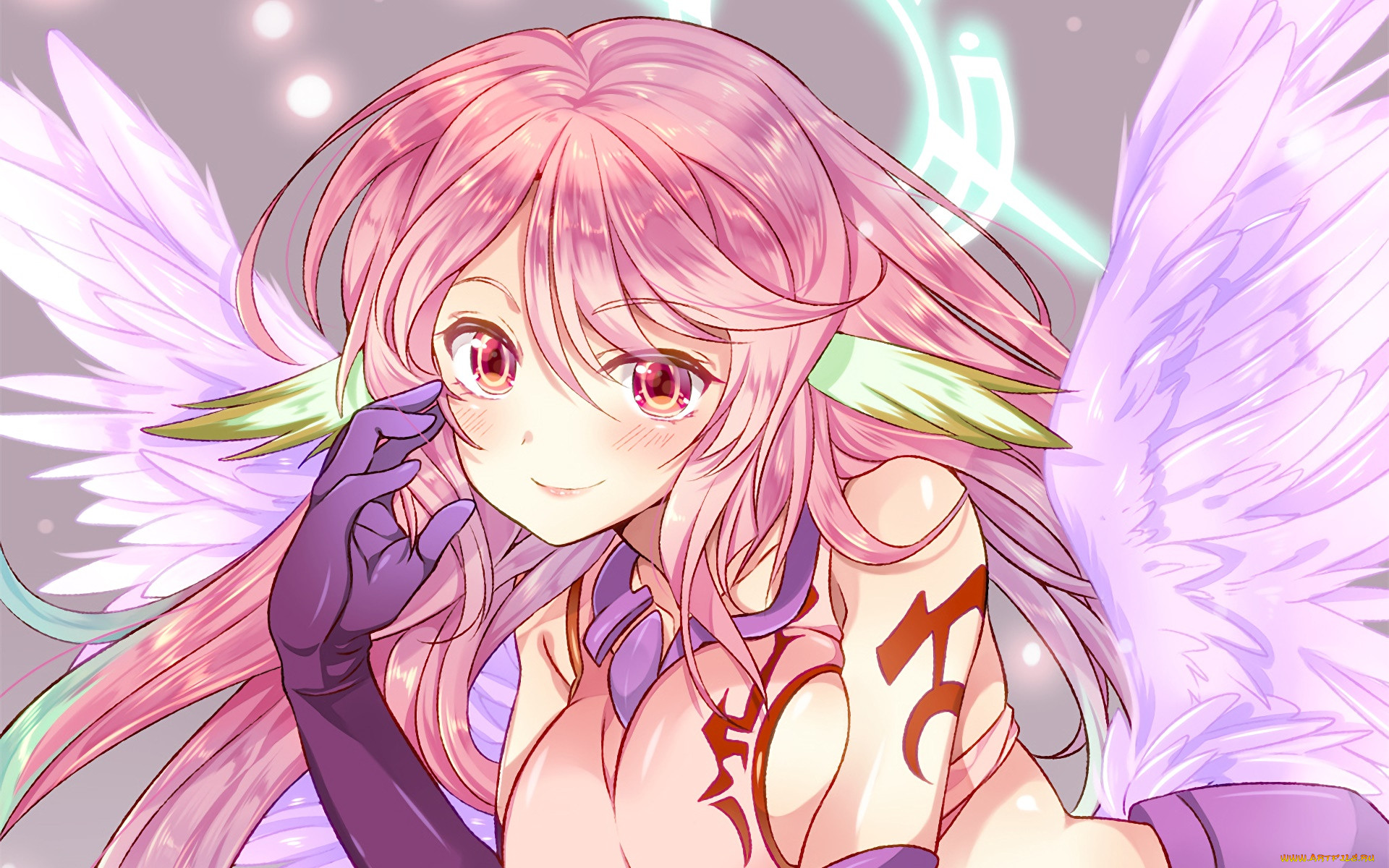 , no game no life, , , 